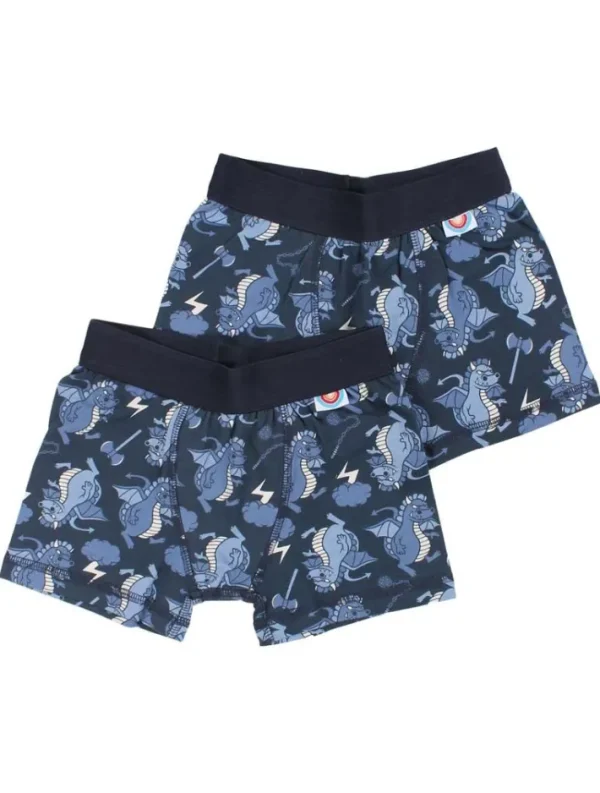 BIFROST - 2Pak Underwear Boys Blue Tone DRAGONS
