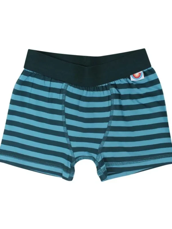 BIFROST - 2Pak Underwear Boys Dark Duck/Aqua Ice