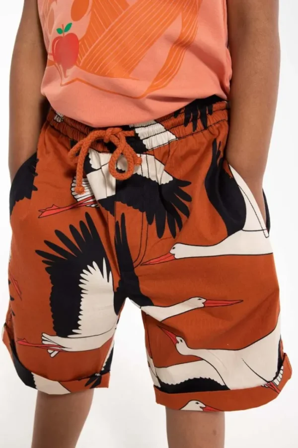 Danalfred Poplin Shorts Rust BIG STORK