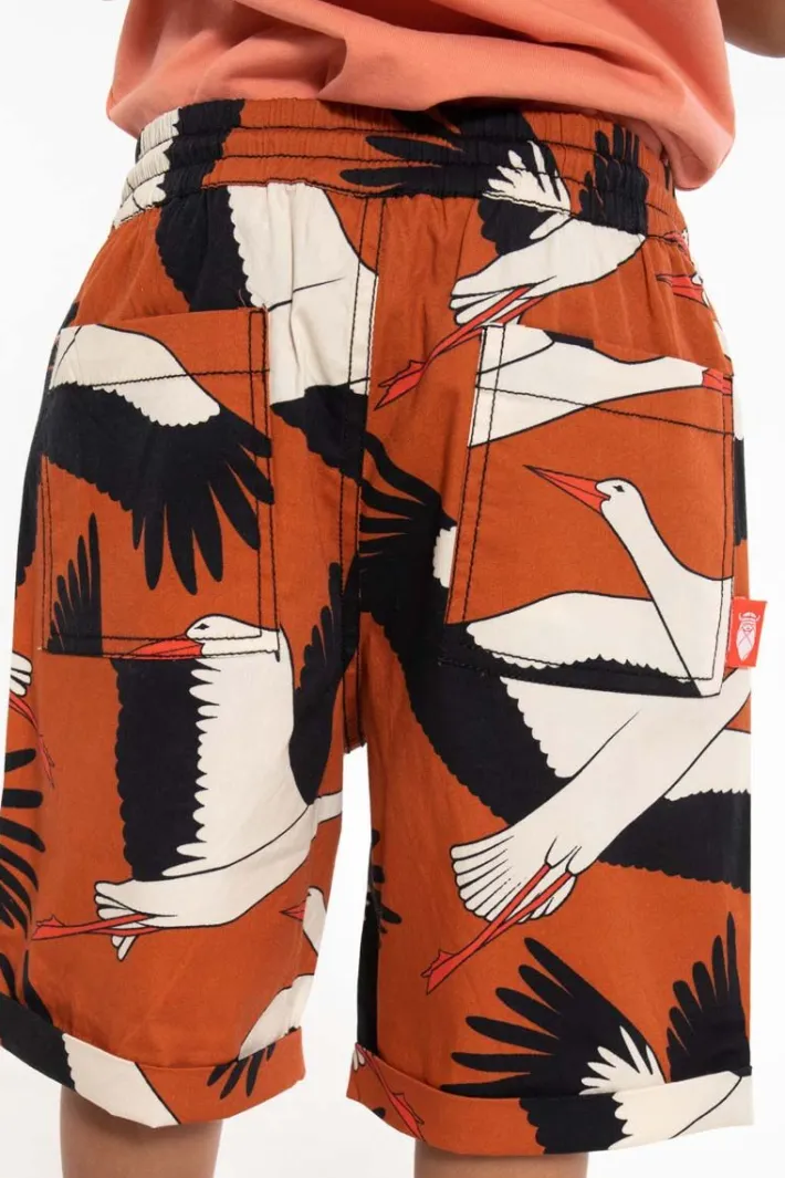 danalfred_poplin_shorts_r_1.webp Danalfred Poplin Shorts Rust BIG STORK