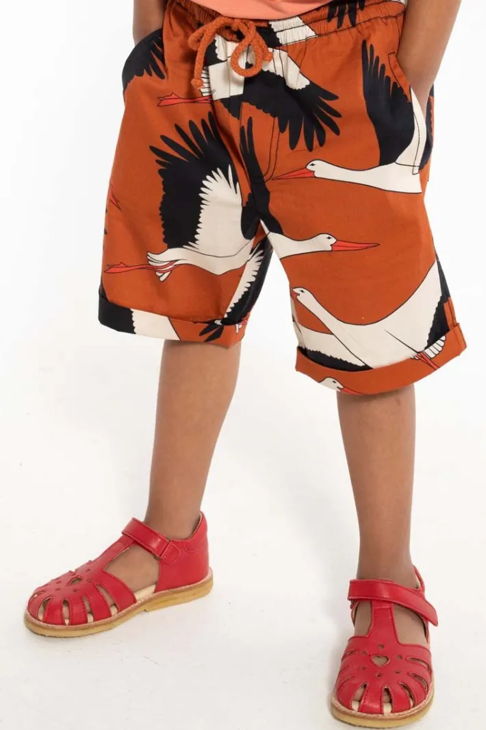 danalfred_poplin_shorts_r_2.webp Danalfred Poplin Shorts Rust BIG STORK