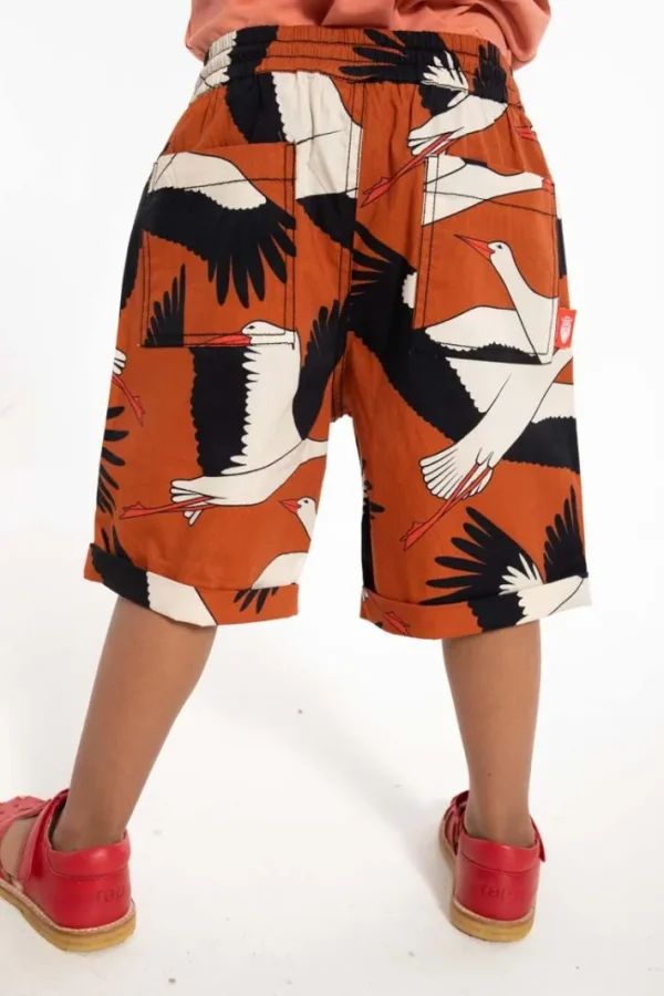 Danalfred Poplin Shorts Rust BIG STORK