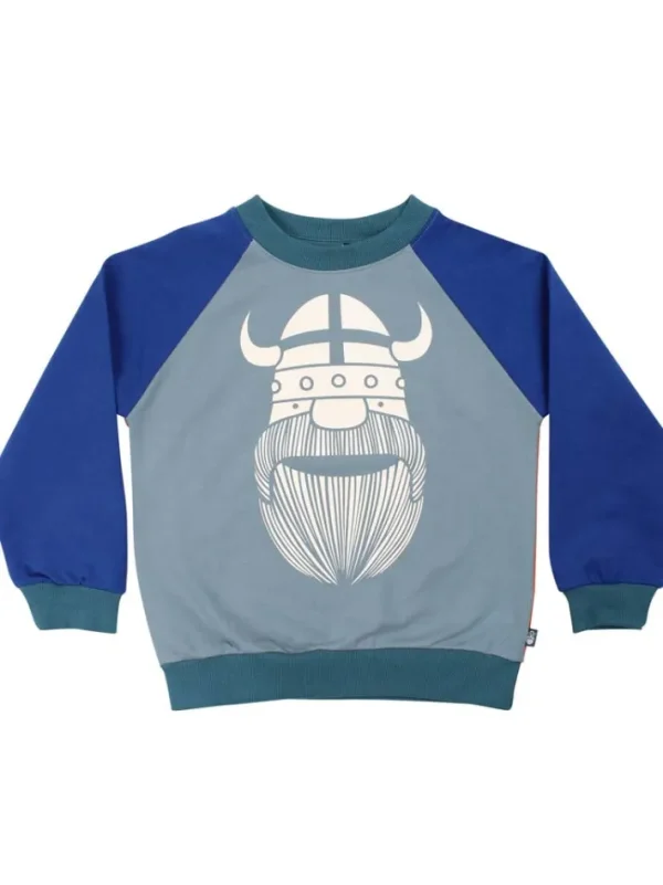 Danamerika Sweat Multi ERIK