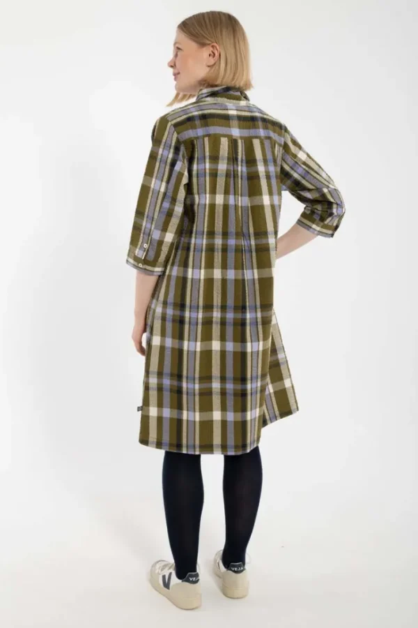 Danecarnation Searsucker Dress Olive WOVENCHECK