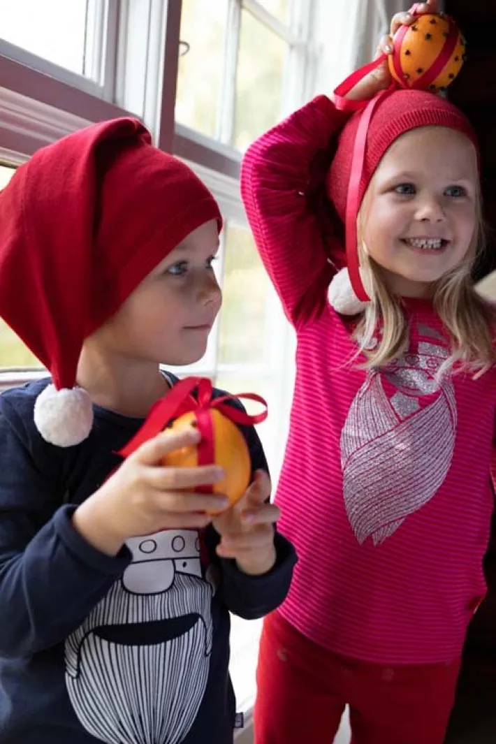 danehidsigprop_red_4.webp Danehidsigprop Red