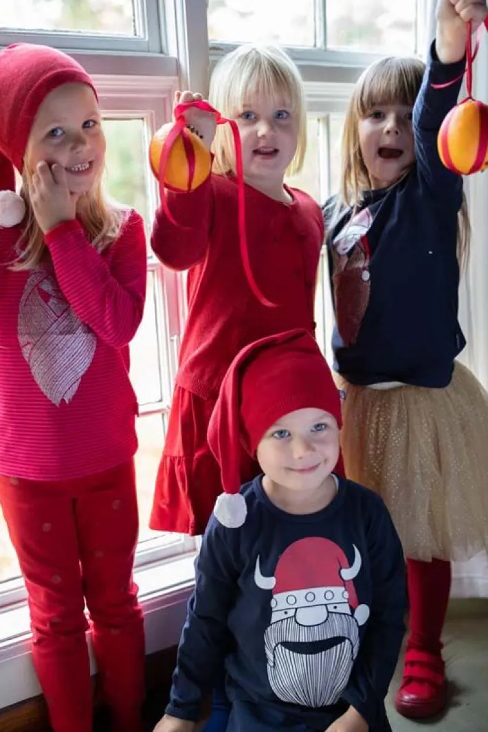 danehidsigprop_red_5.webp Danehidsigprop Red