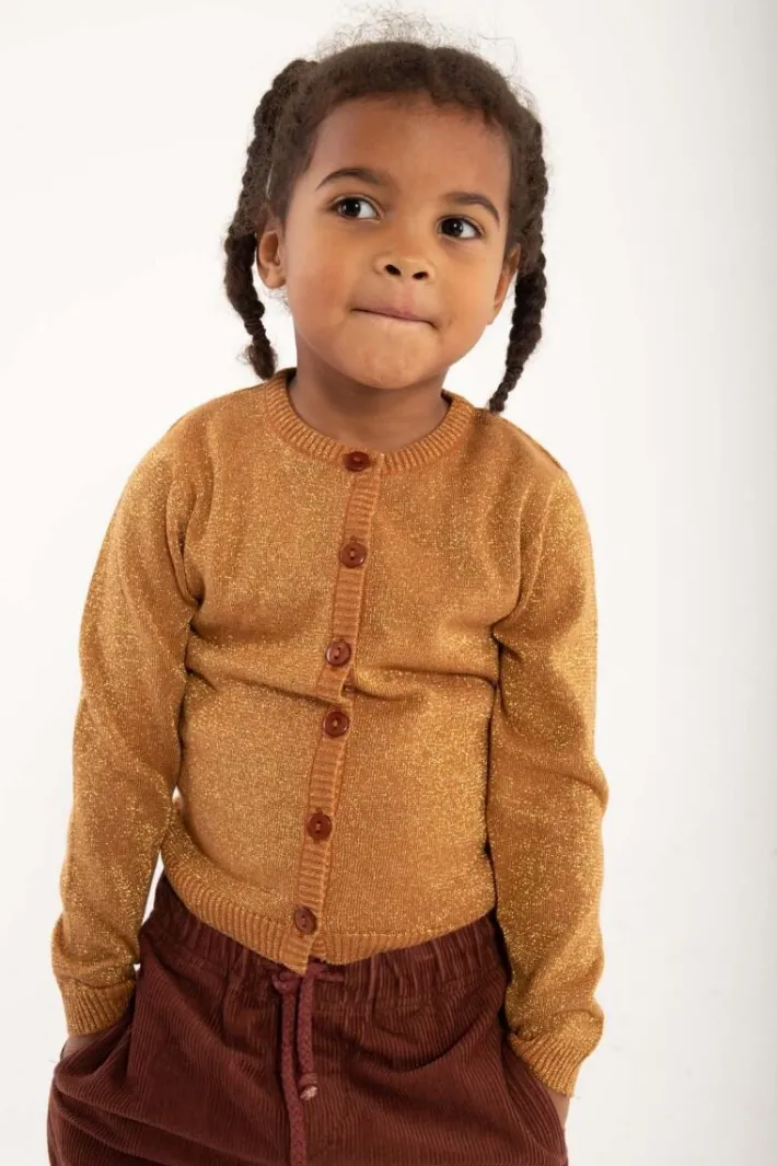 danemerle_cardigan_occer__2.webp Danemerle Cardigan Occer w. Gold Glitter