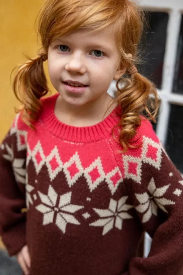 Danepulk Sweater Cognac