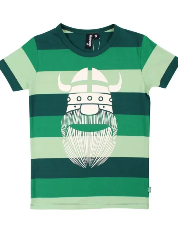 Danerainbow Ringer Pinetree ERIK