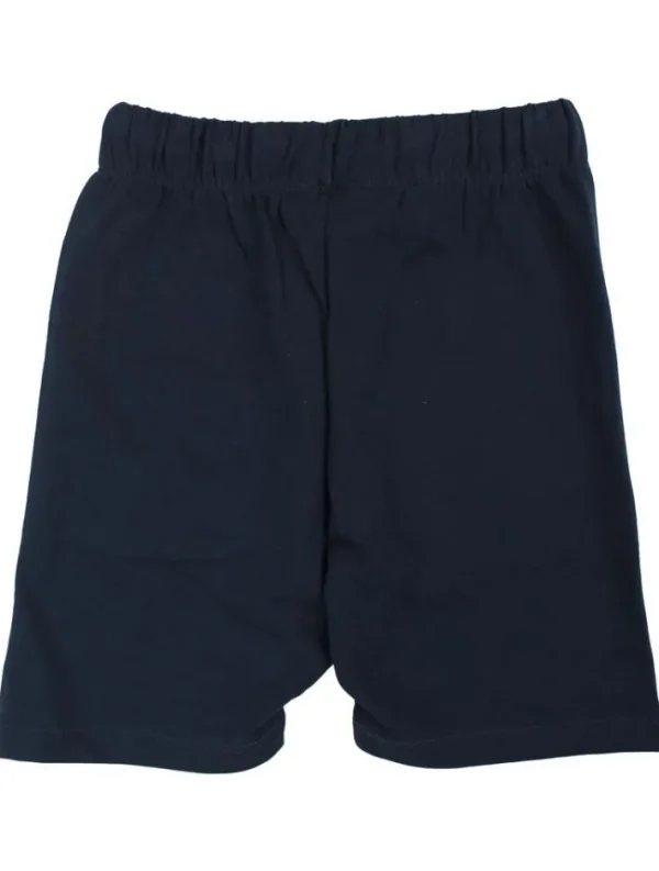 Danotter Shorts Navy
