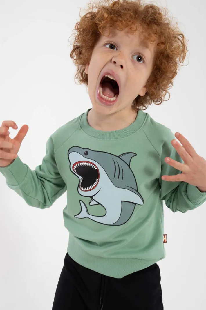 dyrbellow_sweat_herb_gree_4.webp Dyrbellow Sweat Herb Green HVIDHAJ