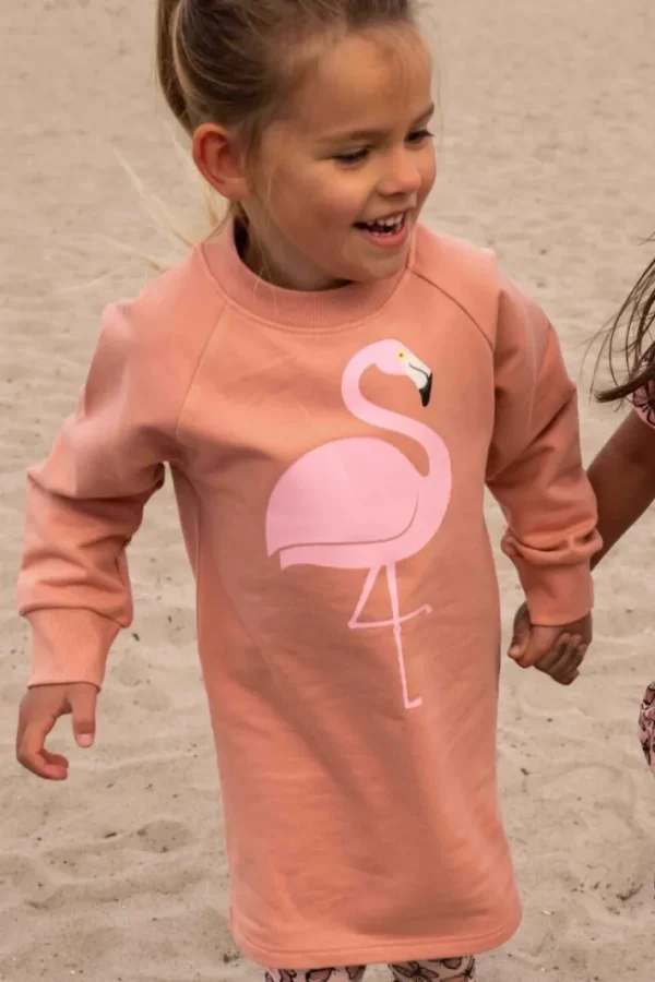 Dyrfurry Sweat Dress Rose beige FLAMINGO