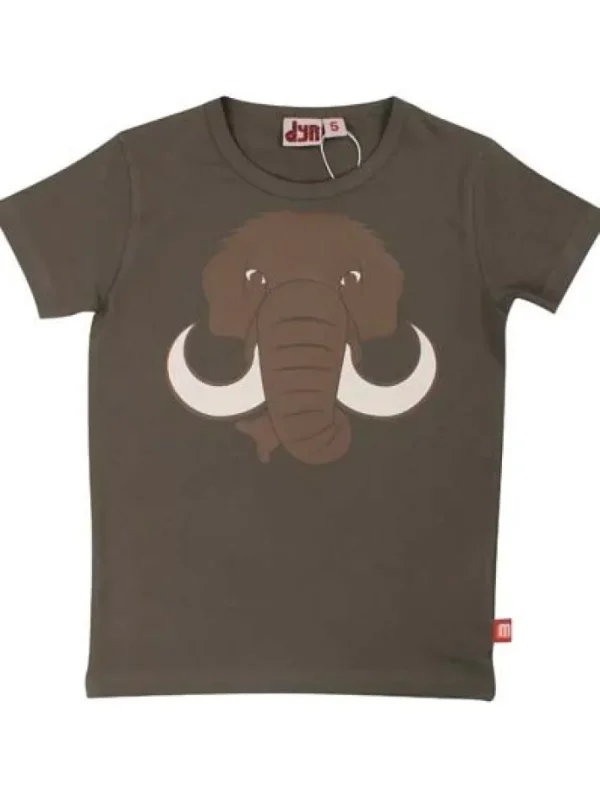 Dyrgrowl T Warm Grey MAMMUT