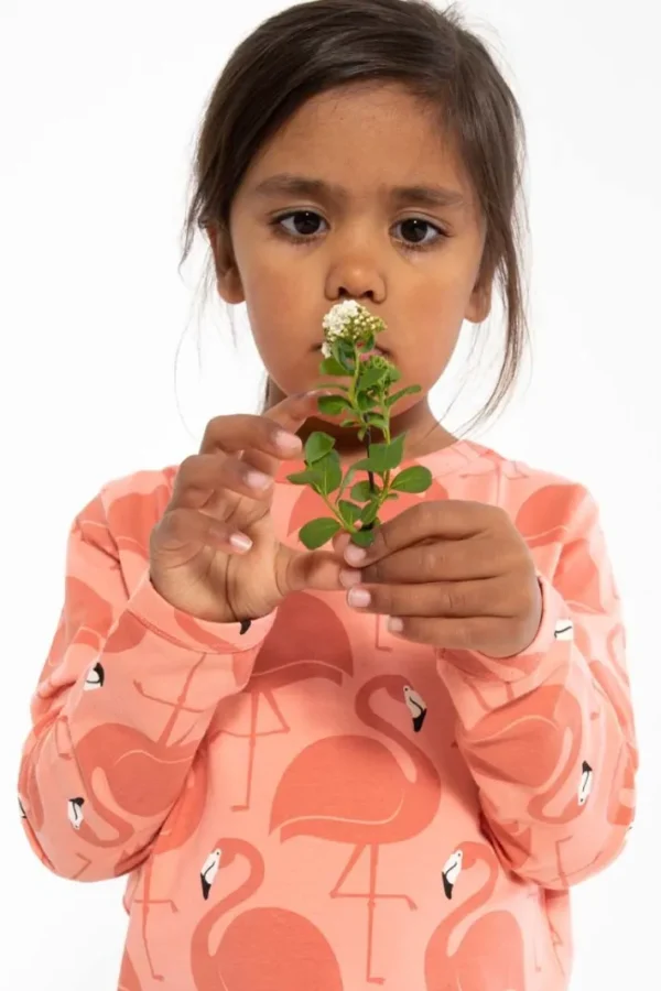 Dyrroar T AOP/STRIB Coral FLAMINGOER