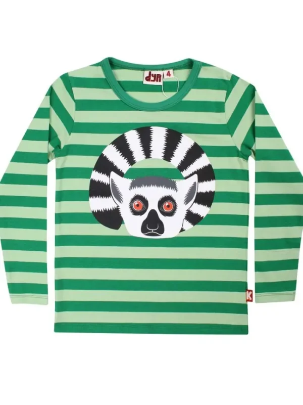 Dyrroar T AOP/STRIB Grass Green/Dusty Green KATTALEMUR