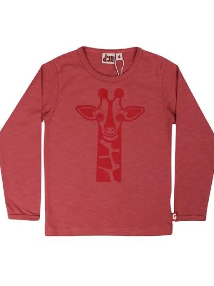 dyrroar_t_dark_rose_giraf_0.webp Dyrroar T Dark Rose GIRAF