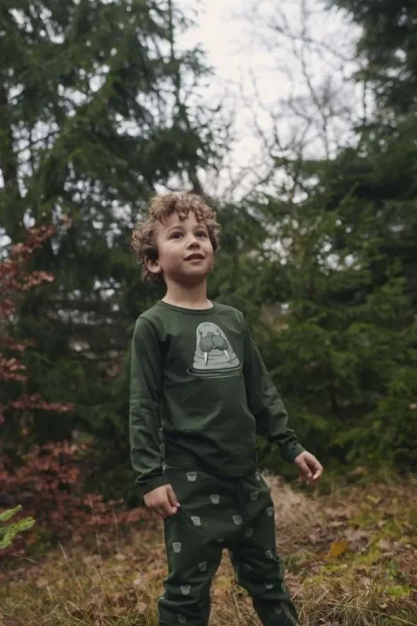 Dyrroar T DK Safari HVALROS