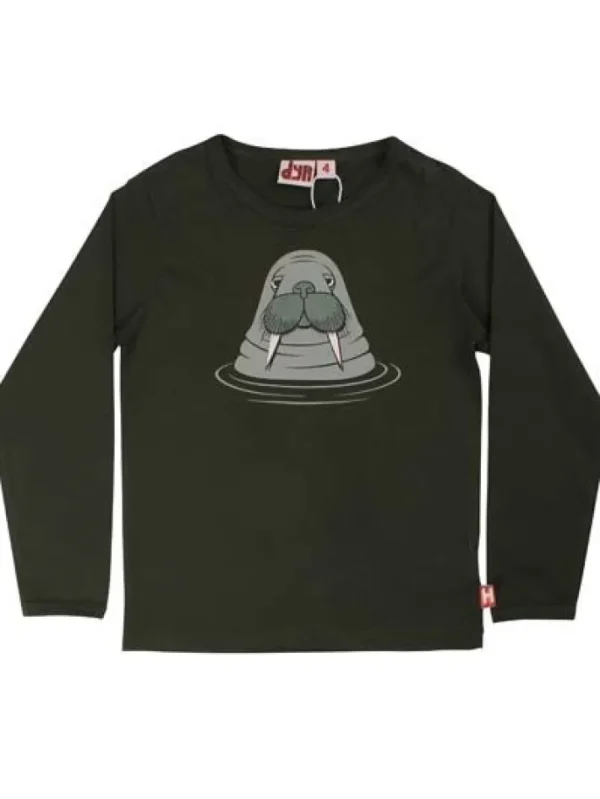 Dyrroar T DK Safari HVALROS