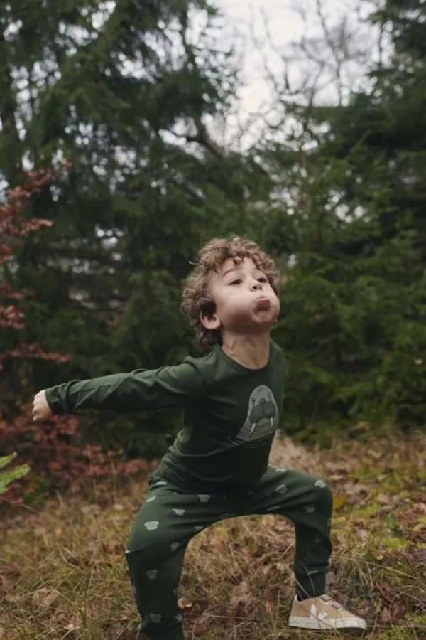 Dyrroar T DK Safari HVALROS