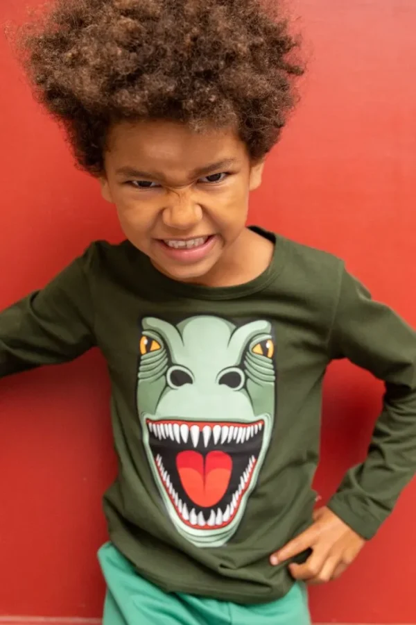 Dyrroar T Dk Safari T-REX