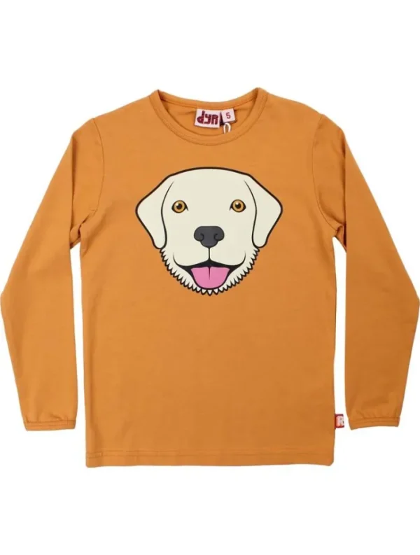 Dyrroar T Golden Honey RETRIEVER