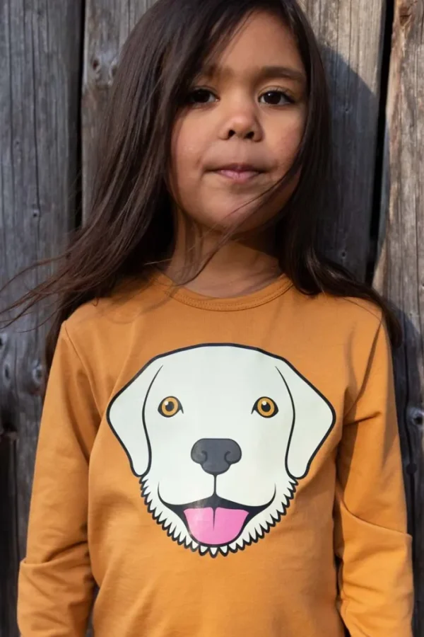 Dyrroar T Golden Honey RETRIEVER