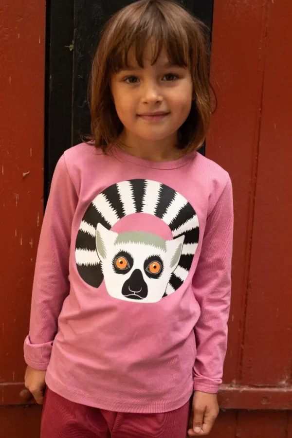 Dyrroar T Old Rose KATTA LEMUR