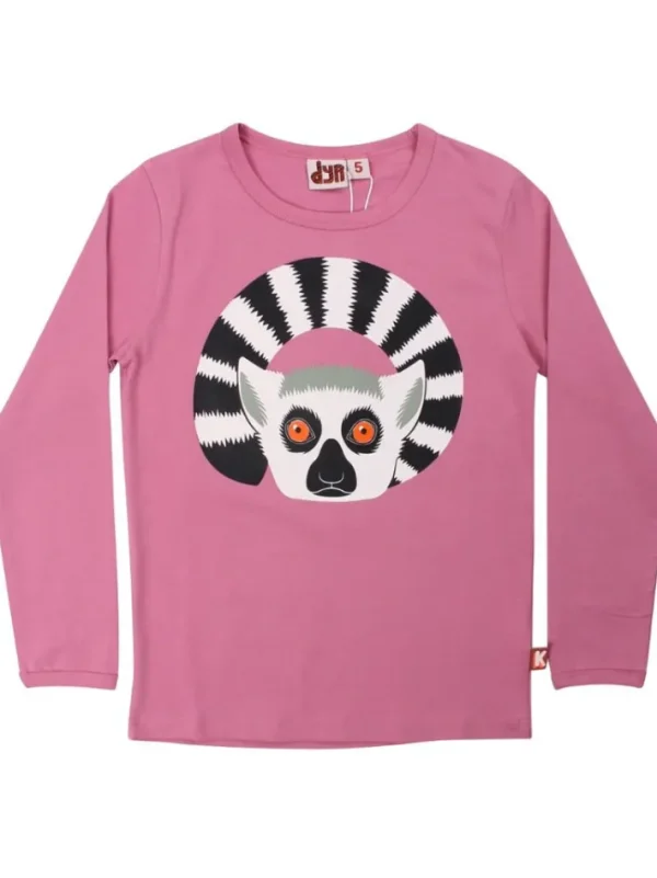 Dyrroar T Old Rose KATTA LEMUR