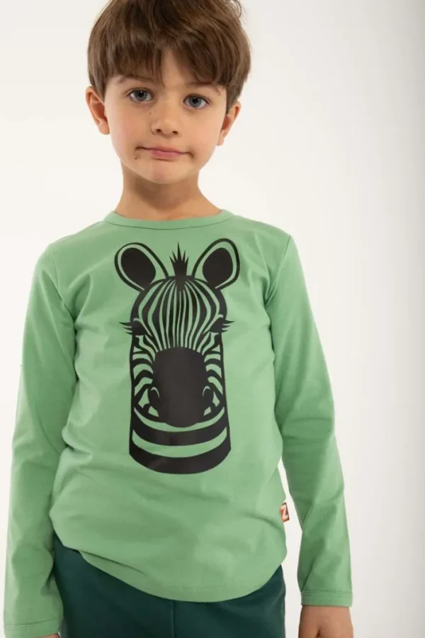 Dyrroar T Sage ZEBRA