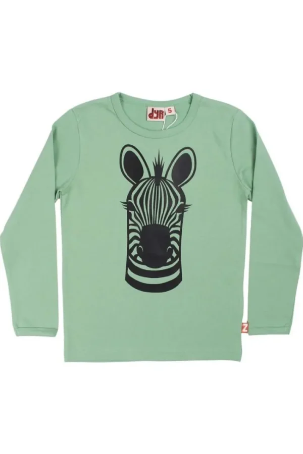 Dyrroar T Sage ZEBRA