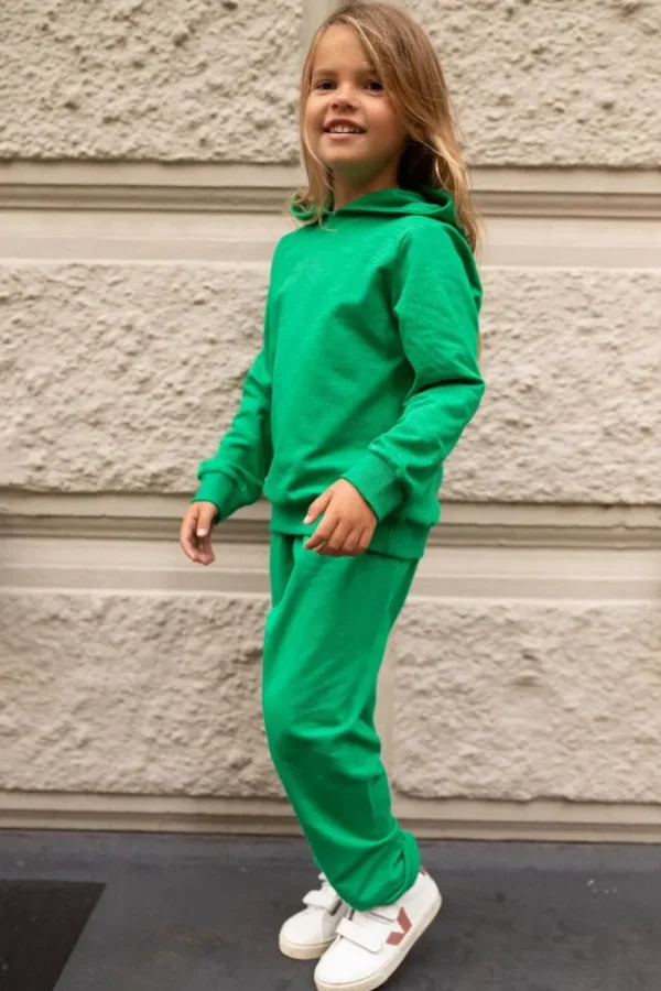 ESS - ORGANIC Danefruit Hoodie Green