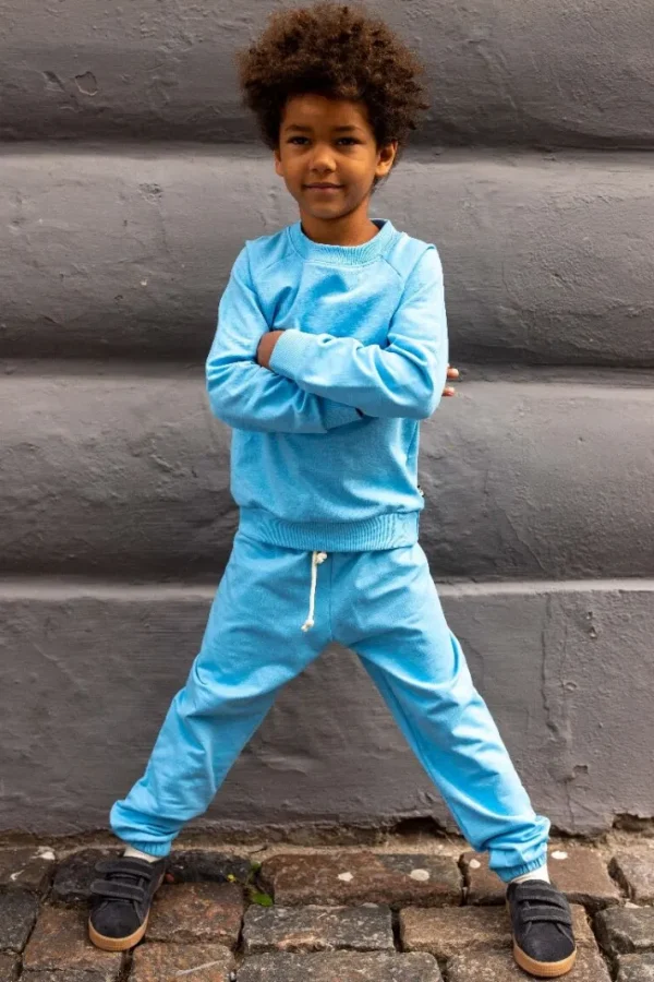 ESS - ORGANIC Danemineral Sweater Baby blue