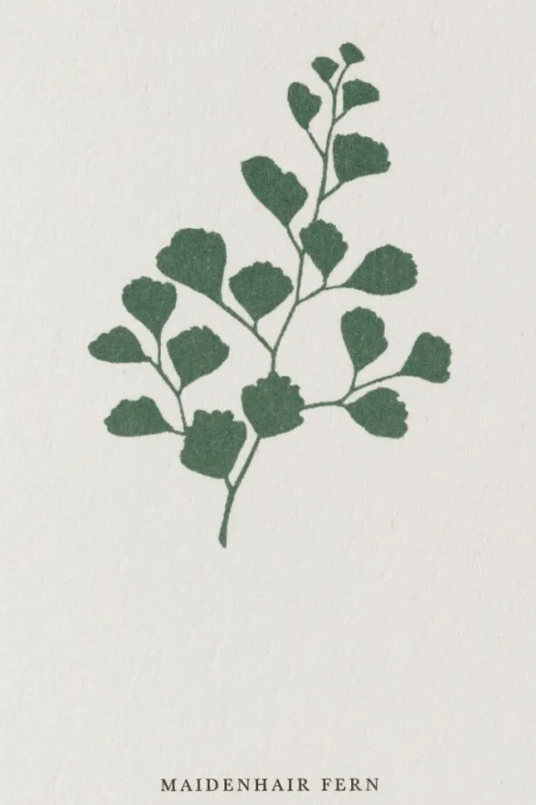 Kartotek Kort-A6 Fern