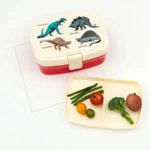 RL Lunch Box w.tray Prehistoric Land