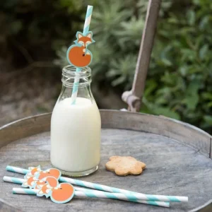 RL Paper Straw (Pack of 4) Rusty the fox