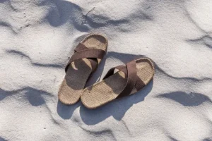 Shangies Unisex Brown Coffee