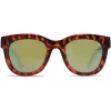 Solbriller Crusheyes BELLISIMO Tortoise/Bronze
